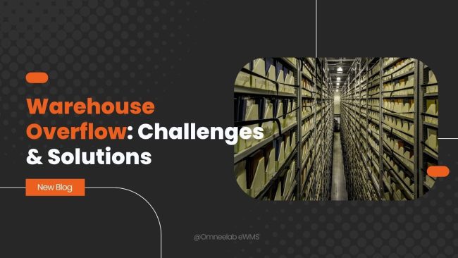 Warehouse Overflow: Challenges & Solutions